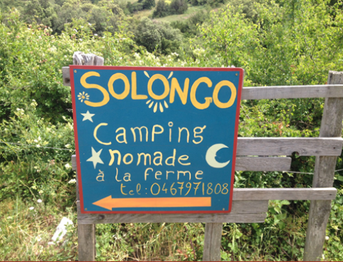 Partenariat été 2024 avec Solongo Camping à la ferme